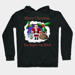 Merry Christmas You Stupid A$$ B ! T C H - Funny Ugly Christmas Sweater Hoodie